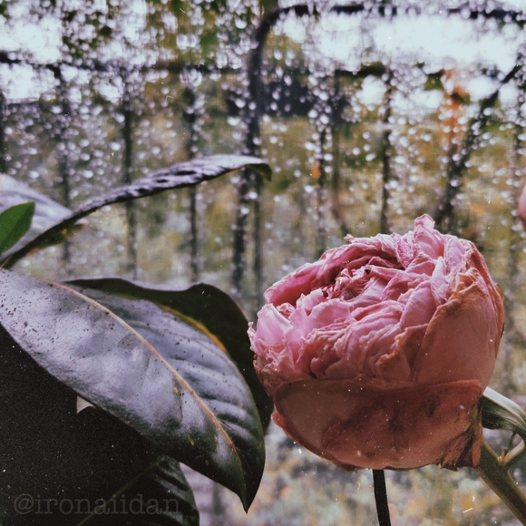 Aesthetic, friends, fashion. - Picture 3 of 4